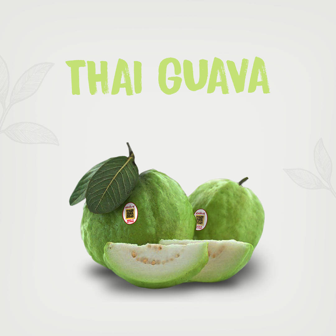 Kimaye Thai Guava (1pc -2 pc- 0.5 kg) kimaye-store