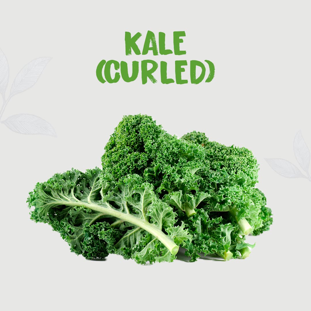 Kimaye Kale (Curled) ( 1 pc~200 g) kimaye-store
