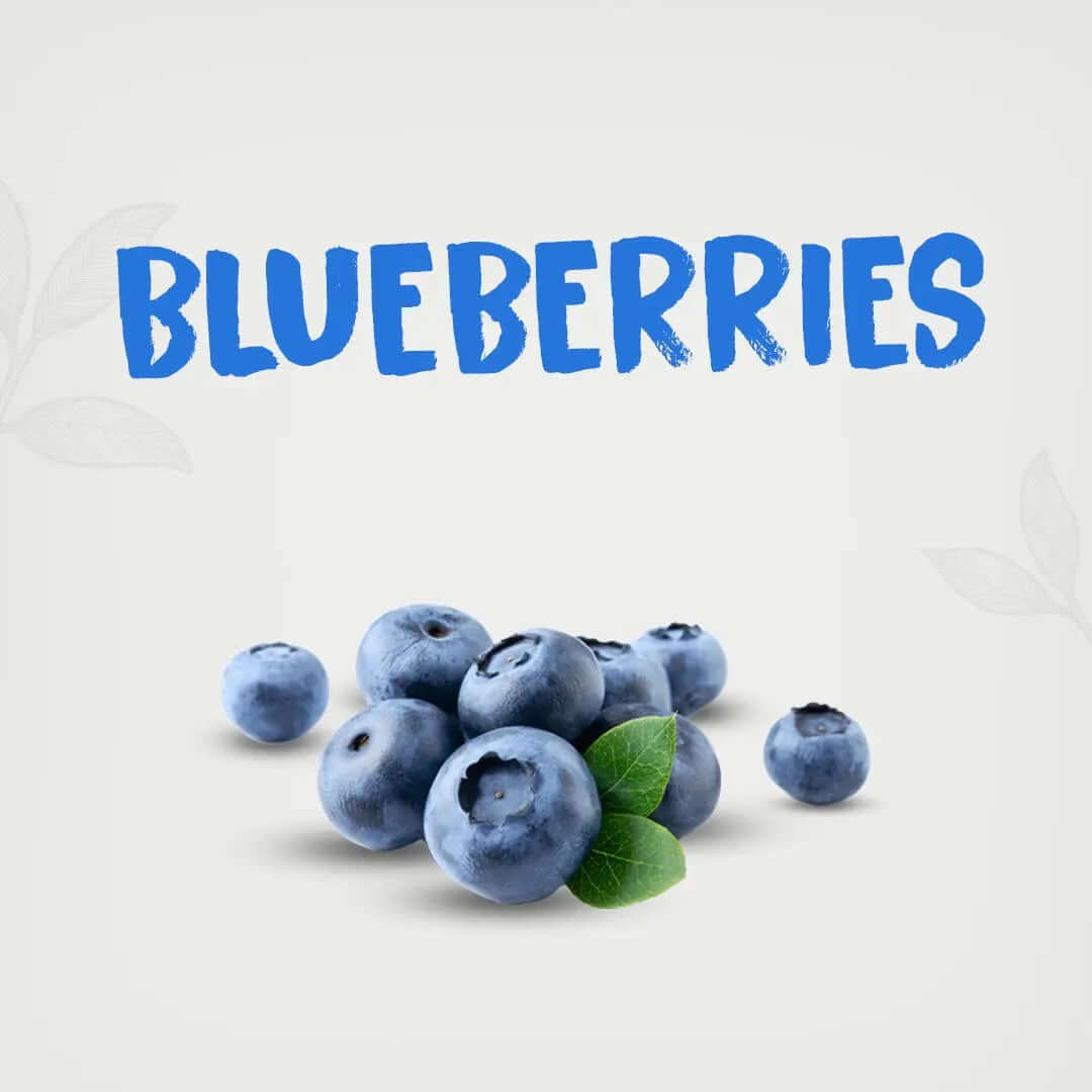 Kimaye Blueberries (125g) kimaye-store