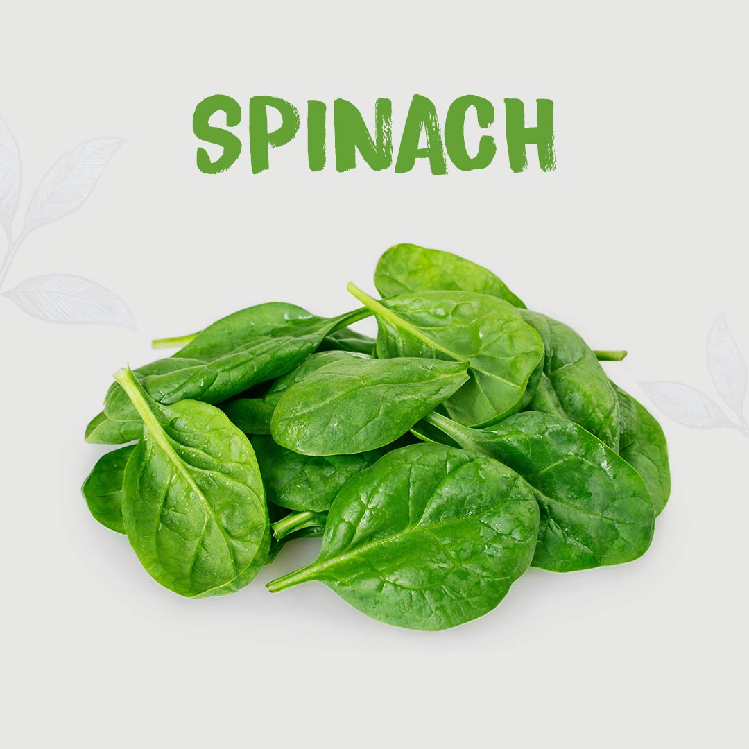 Kimaye Spinach (1 pc~200 g) kimaye-store