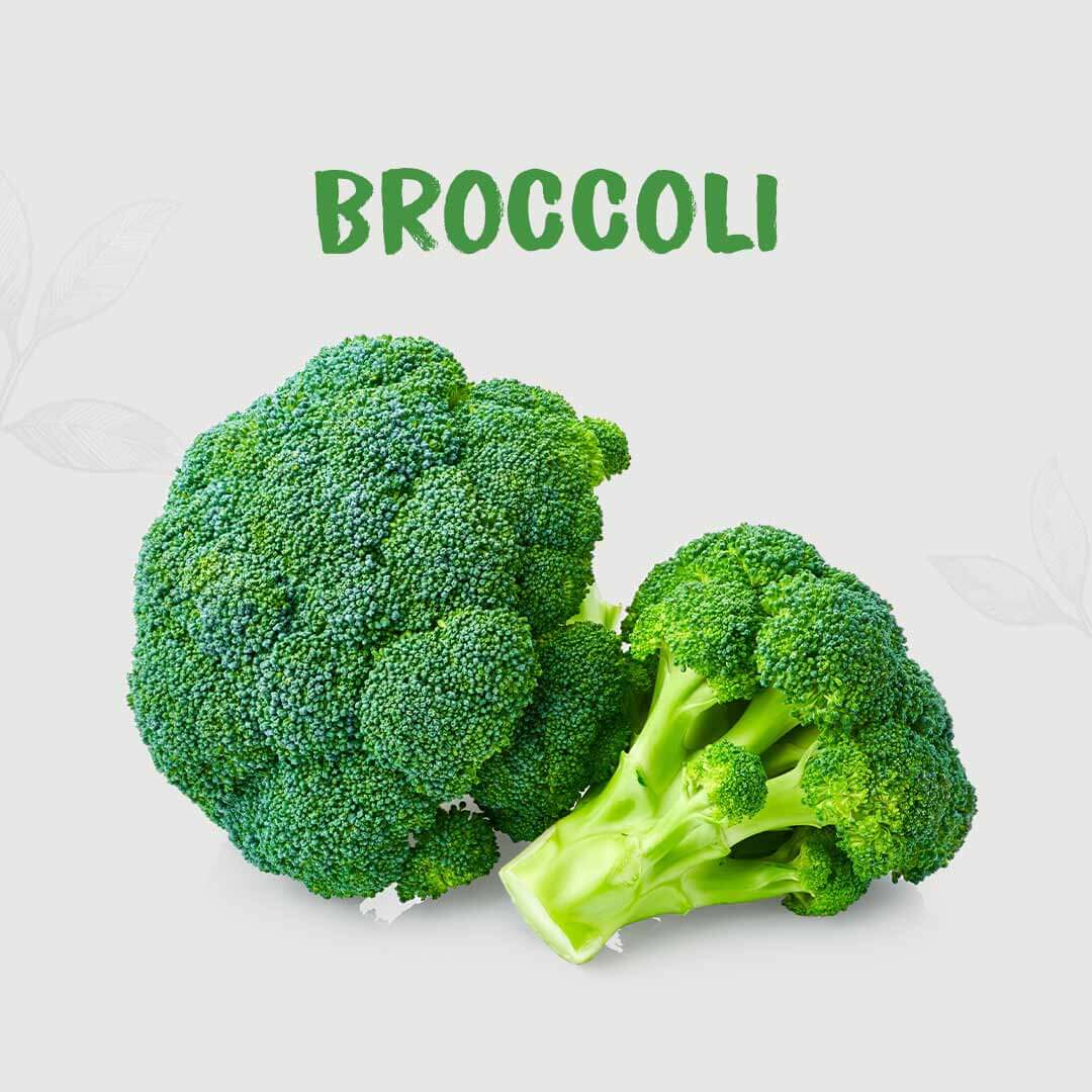Kimaye Broccoli kimaye-store
