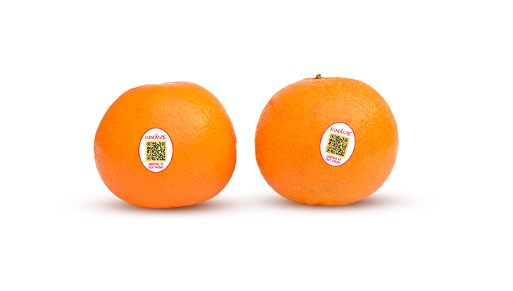 Kimaye Orange (Kinnow) (5 Pcs) kimaye-store